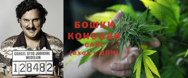 не бодяженный Арсеньев