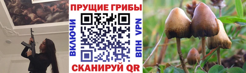 закладки  omg ссылка  Псилоцибиновые грибы мицелий  Протвино 