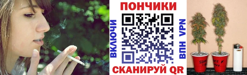 hydra как войти  где купить наркотик  нарко площадка какой сайт  Бошки Шишки VHQ  Протвино 